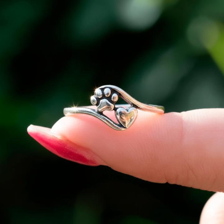 Soul Guard Ring