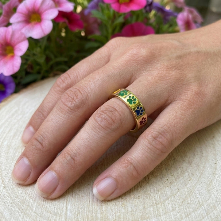 The Fidget Ring