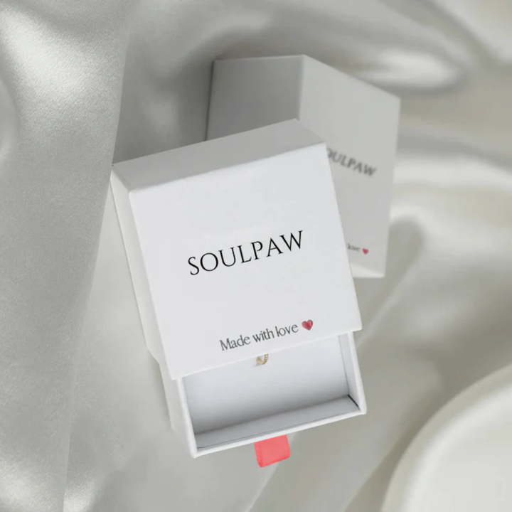 Soul Guard Ring